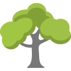 Glen Allen Tree Trimming