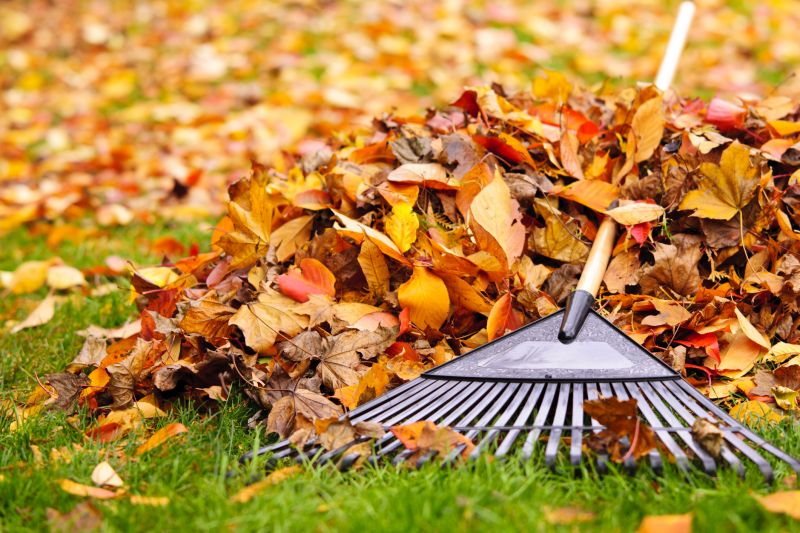 Autumn Landscape Maintenance