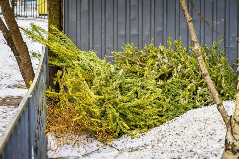 Cleanup After Removal