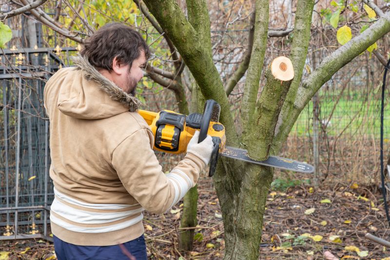 Seasonal Tree Care