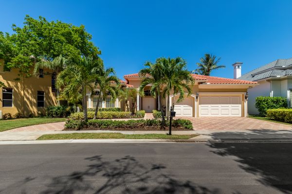 Palm Tree Maintenance